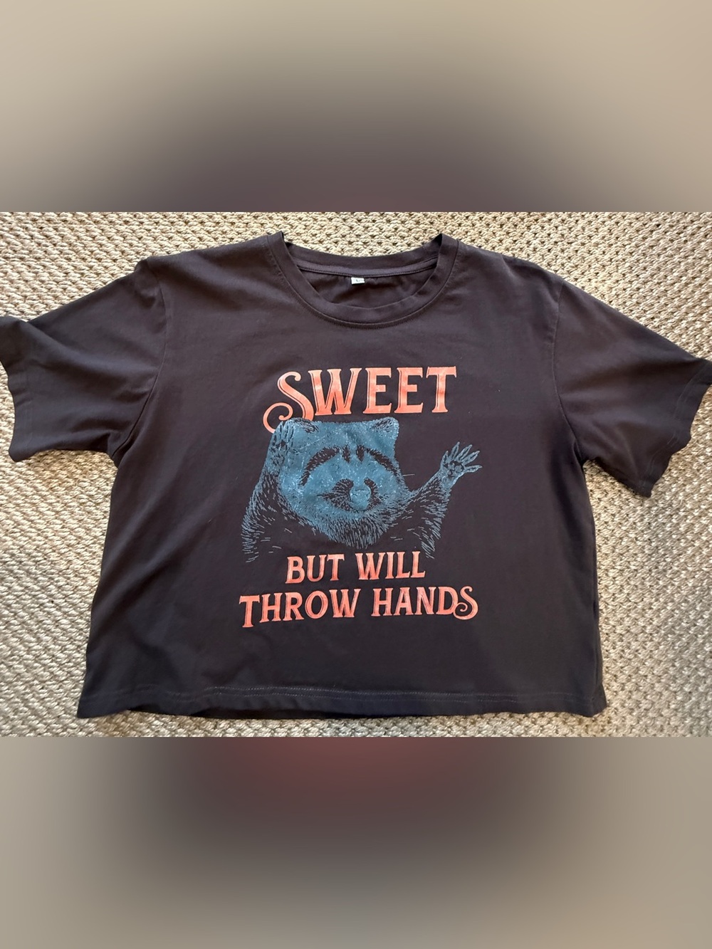 “Sweet But Will Throw Hands” Raccoon Graphic Cropped Tee – Size L